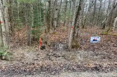 00 Bordenwood N/A Central Frontenac Ontario K0H 1B0