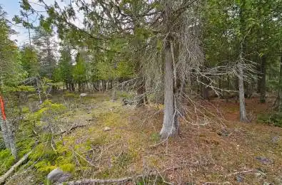 LT 255 Pedwell Pt. Drive Northern Bruce Peninsula Ontario N0H 2R0