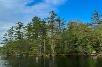 1494 Lost Channel Shore N/A Georgian Bay Ontario P0C 1M0