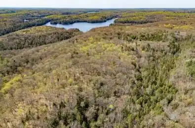 1667 Paint Lake Road Lake of Bays Ontario P0A 1E0