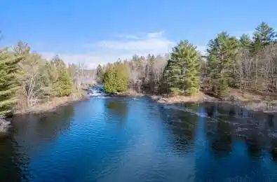 699 Bunny Trail Parry Sound Ontario P2A 2W8