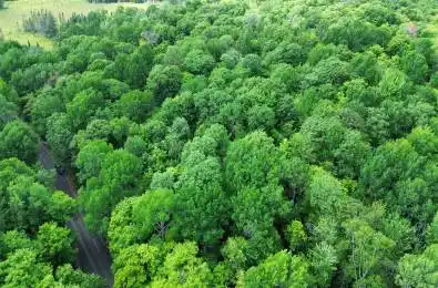 Fern Glen Road McMurrich/Monteith Ontario P0A 1J0