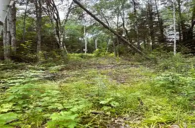 001 Siberia Road Madawaska Valley Ontario K0J 1B0