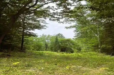 00 Siberia Road Madawaska Valley Ontario K0J 1B0