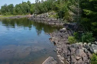 471 NORTH SHORE RD N/A Georgian Bay Ontario L0K 1S0