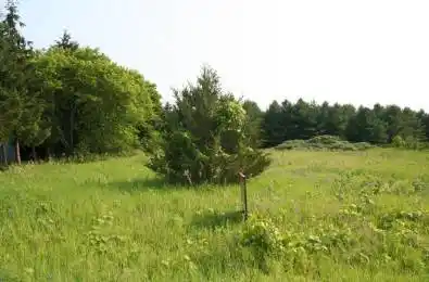 35 Prinyers Cove Cres. Crescent Prince Edward County Ontario K0K 2T0
