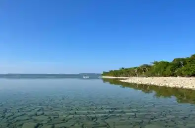 LT 81 WHITE CLOUD Island Georgian Bluffs Ontario N0H 1T0