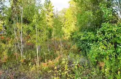 LOT 17 Ronald Avenue Tiny Ontario L0L 1P1