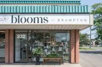 332 Main Street Unit# 9 Brampton Ontario L6V 1P8