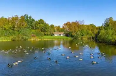 568 Black Street Centre Wellington Ontario N1M 0A3