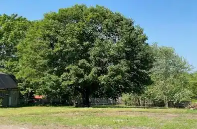 Part #2 Ontario Street Cramahe Ontario K0K 1S0