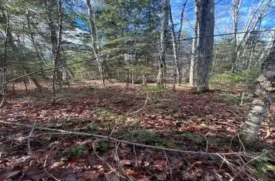 0 Mill Lake Road North Kawartha Ontario K0L 1A0