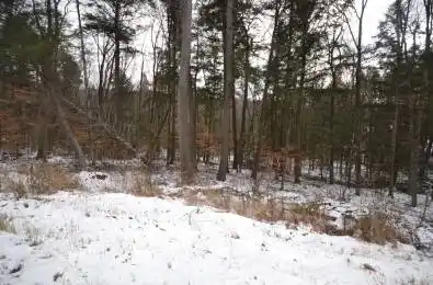 0 Liswood Road Dysart et al Ontario K0M 1S0