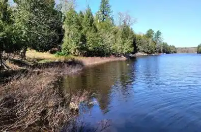 153 HIGHWAY 124 N/A McDougall Ontario P2A 2W7