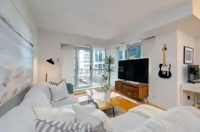 18 Stafford Street Unit# 313 Toronto C01 Ontario M5V 3W4