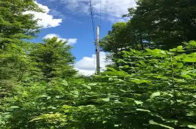 000 blanchards Road Kawartha Lakes Ontario K0M 2B0