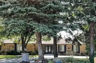 184 Dundas Street Hamilton Ontario L8N 2Z7